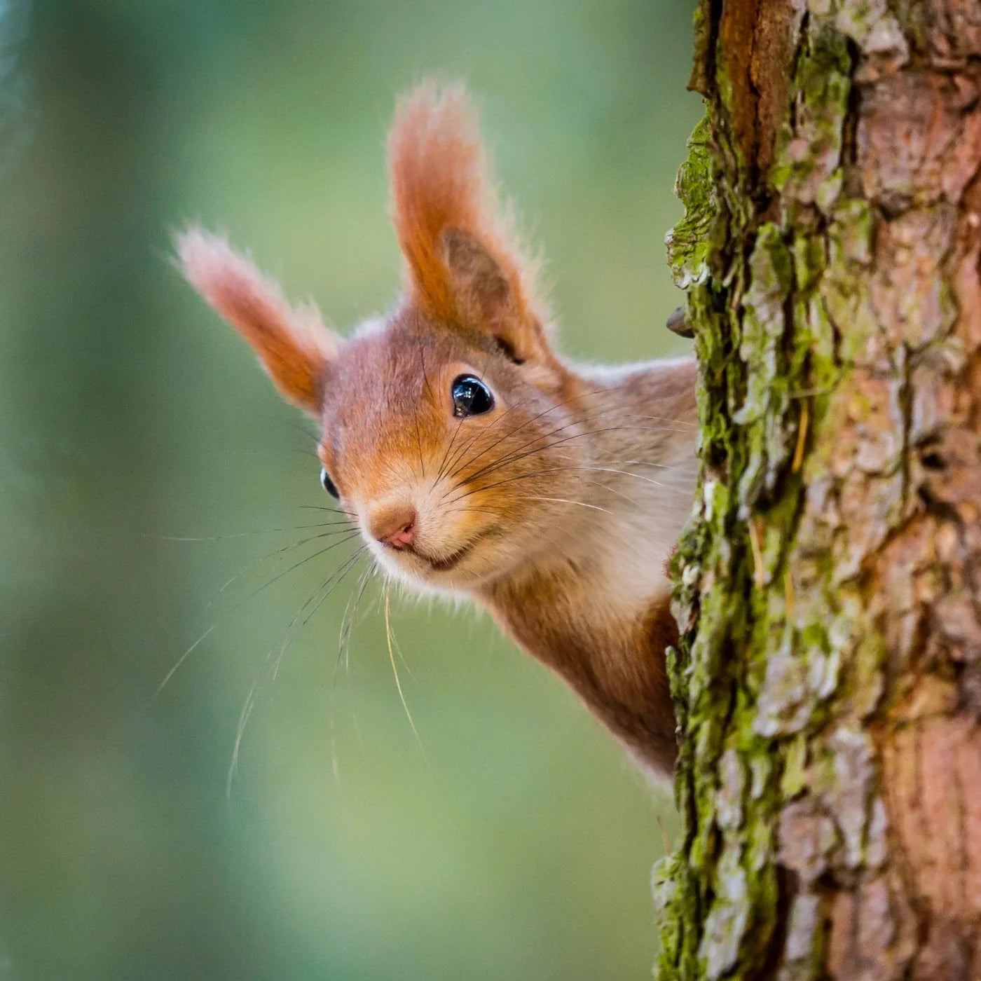 Was uns beschäftigt