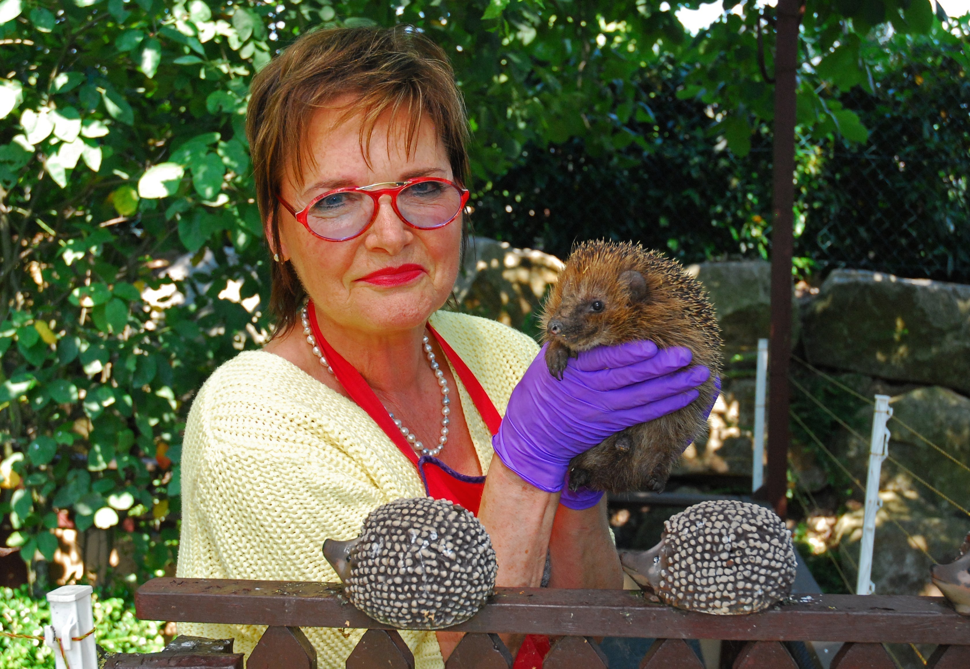Igel-Milch
