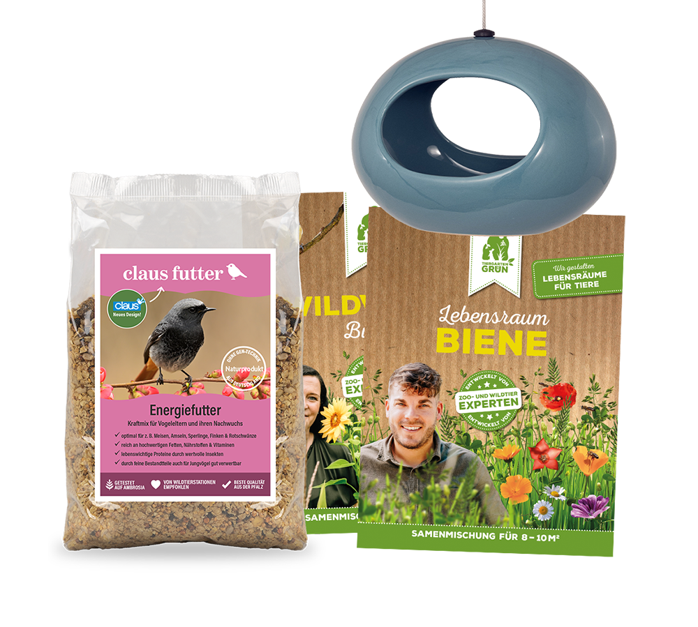 Claus_Aktions-paket-Lebensraum_Wildvoegel